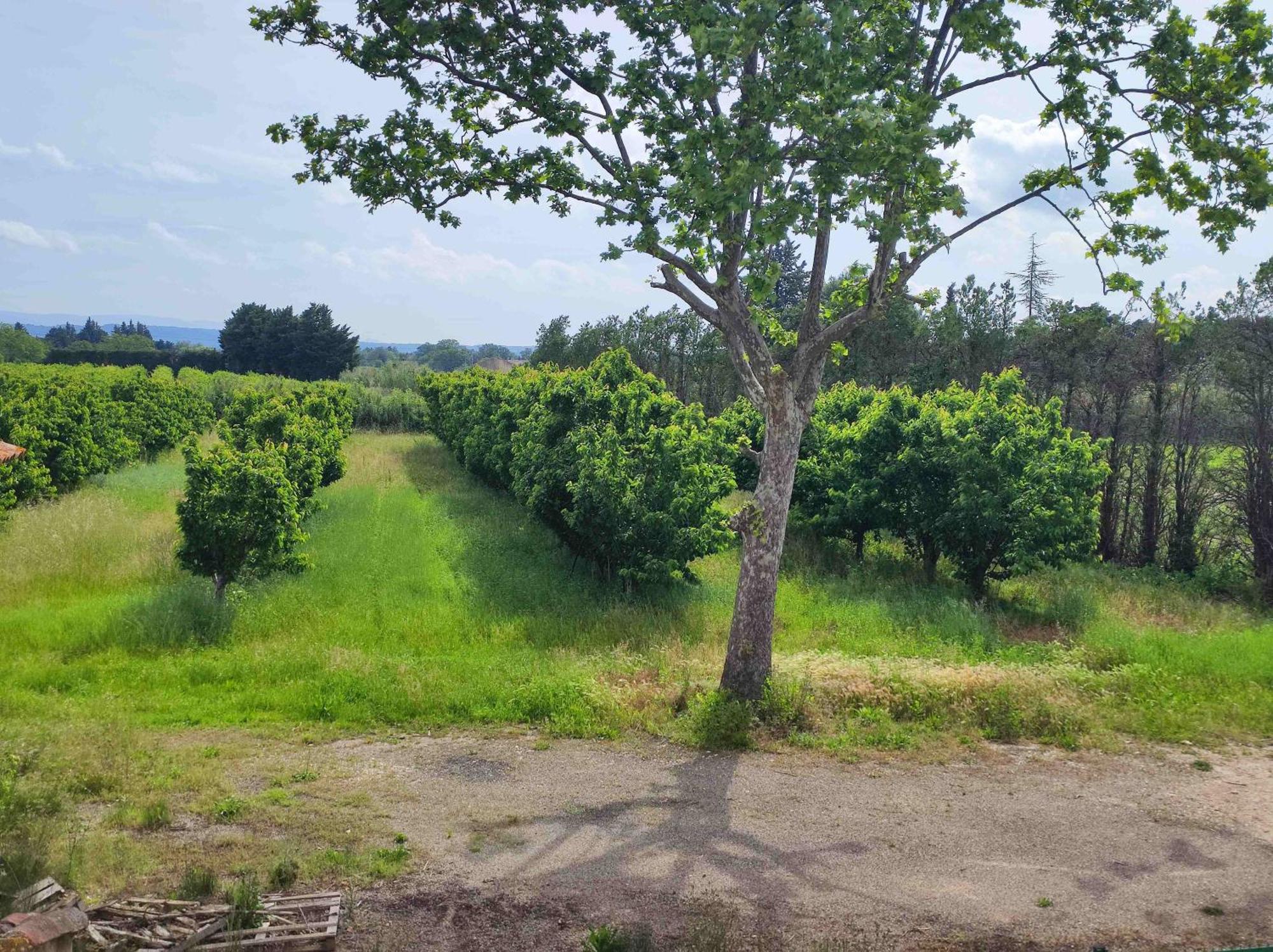Chambre 3 Personnes Avec Salle De Bain Dans Mas Du Luberon Robion en Luberon Exterior foto