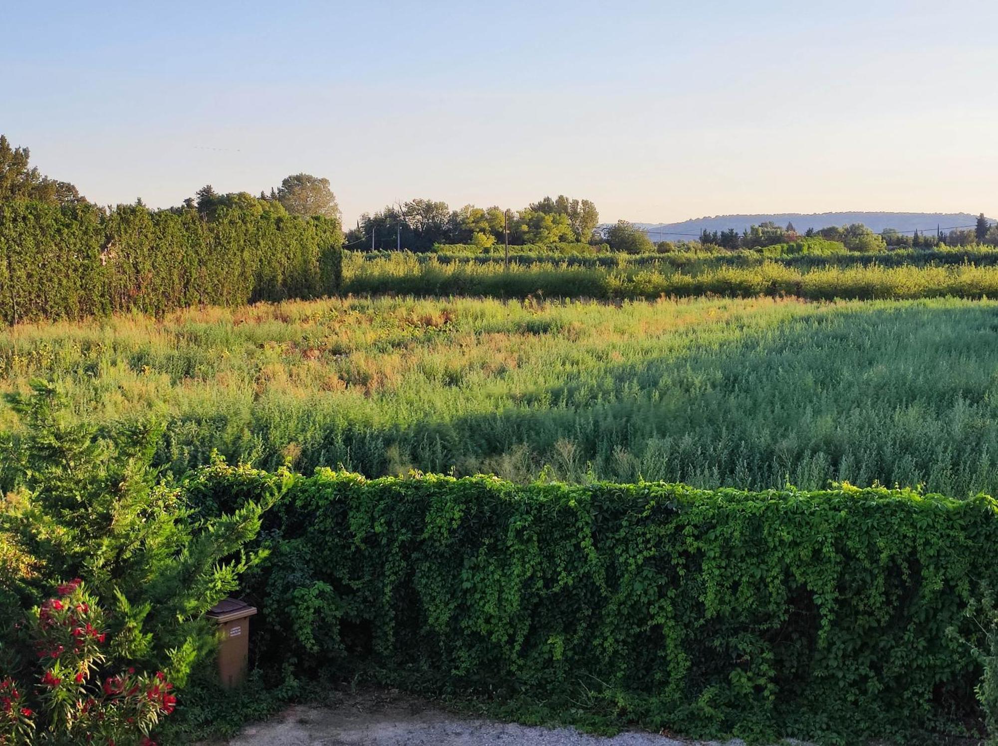 Chambre 3 Personnes Avec Salle De Bain Dans Mas Du Luberon Robion en Luberon Exterior foto