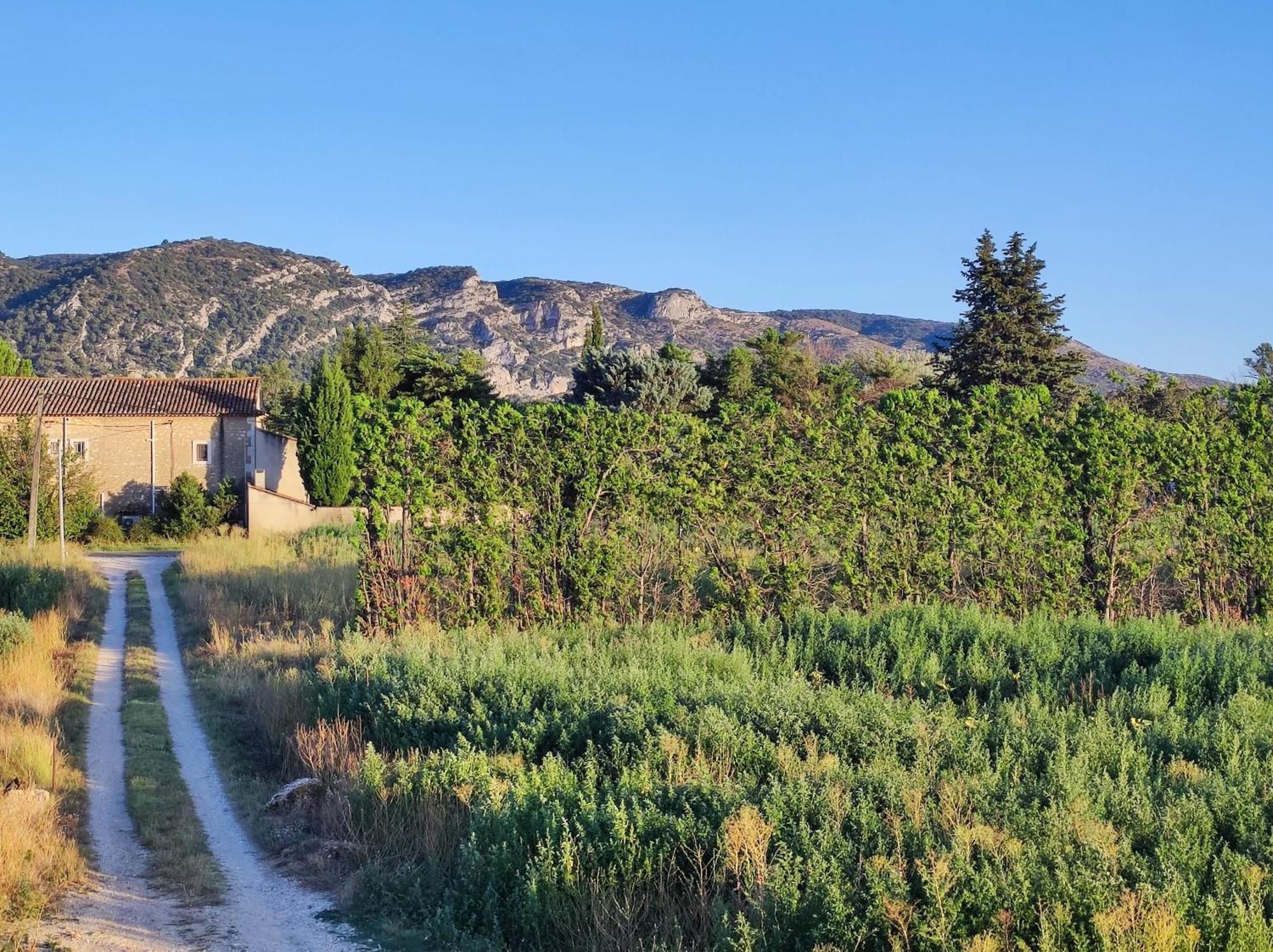 Chambre 3 Personnes Avec Salle De Bain Dans Mas Du Luberon Robion en Luberon Exterior foto