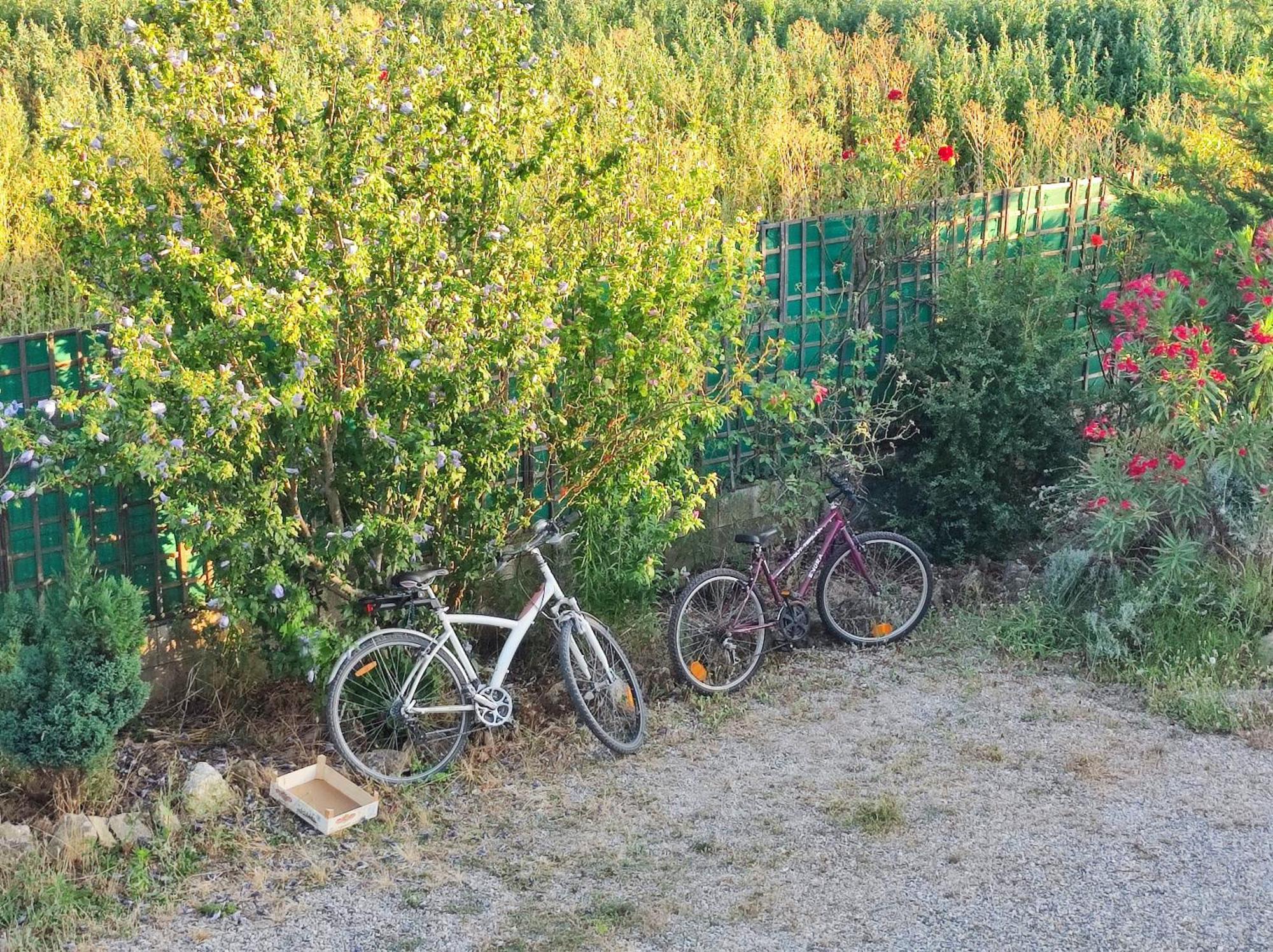 Chambre 3 Personnes Avec Salle De Bain Dans Mas Du Luberon Robion en Luberon Exterior foto